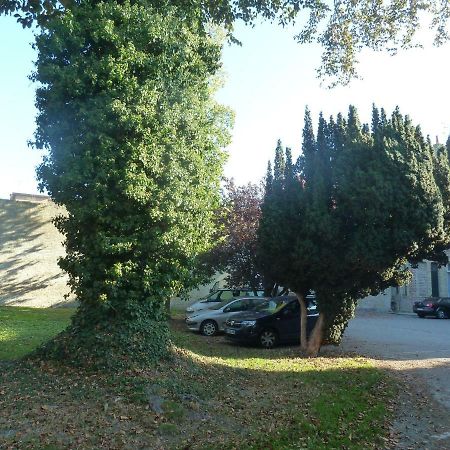 Cote Cour Apartment Bergues Exterior photo